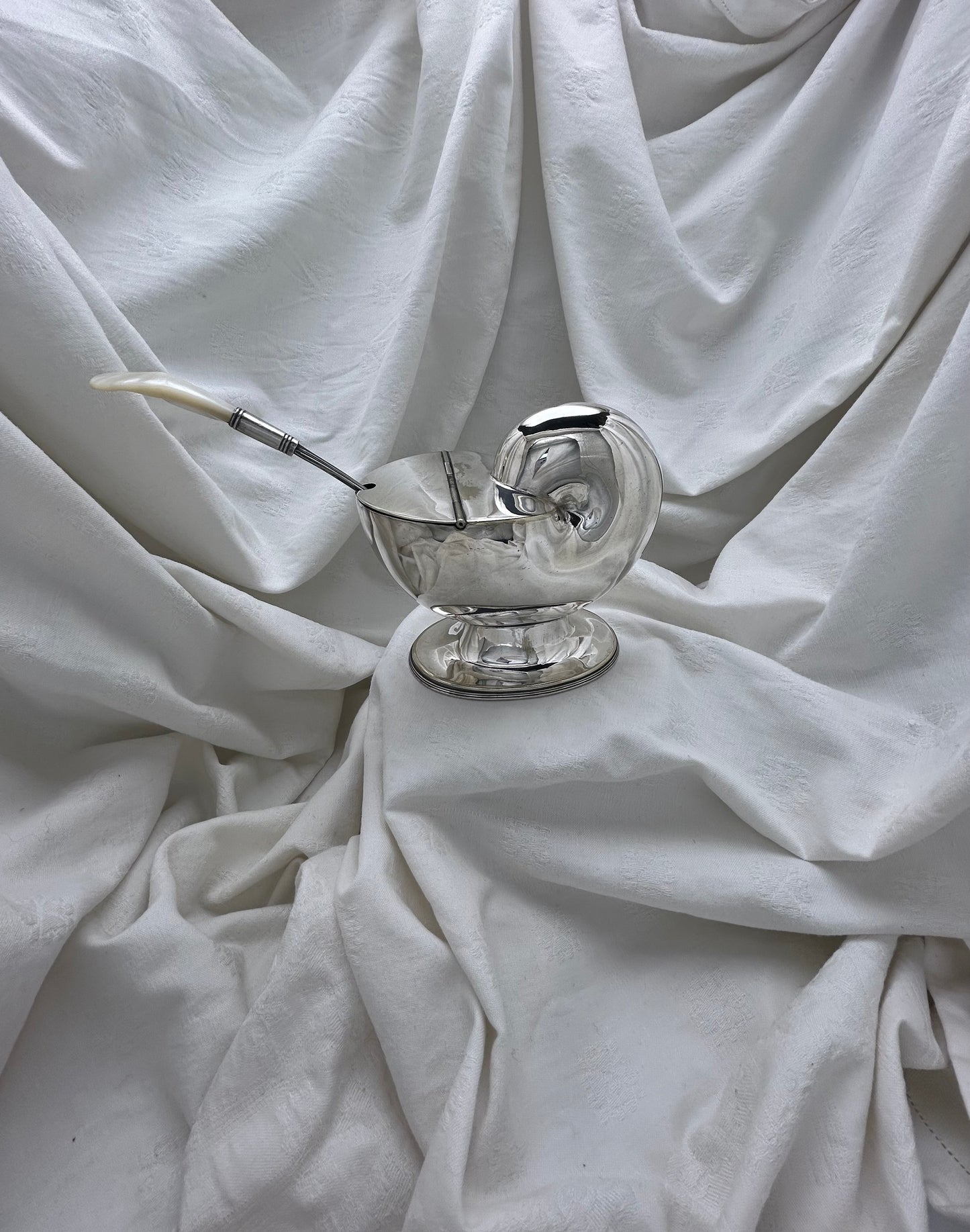 Antique Victorian English Silver Plate Nautilus Shell Spoon Warmer