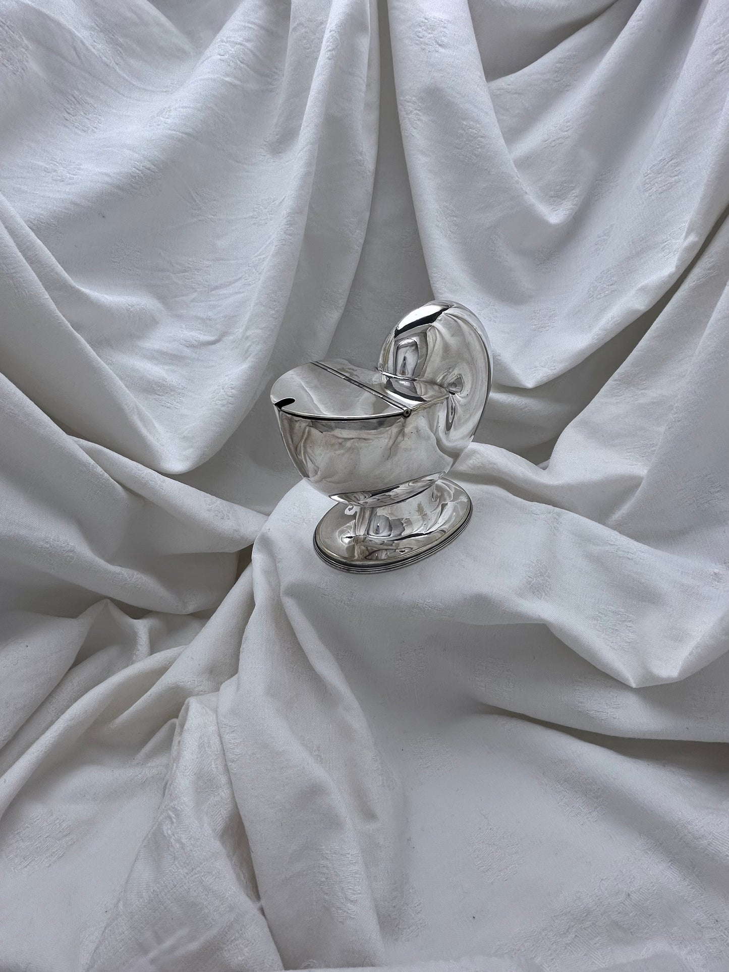 Antique Victorian English Silver Plate Nautilus Shell Spoon Warmer