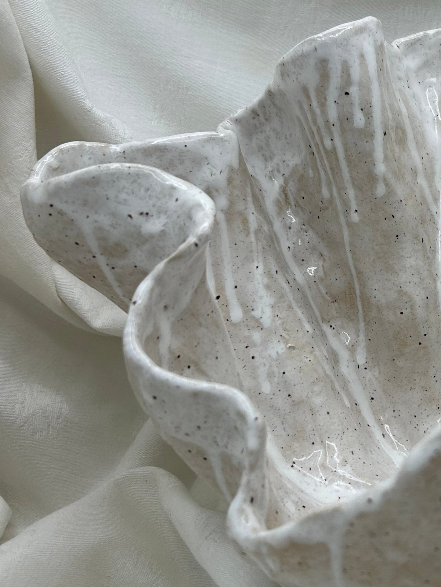 Shell Vessel