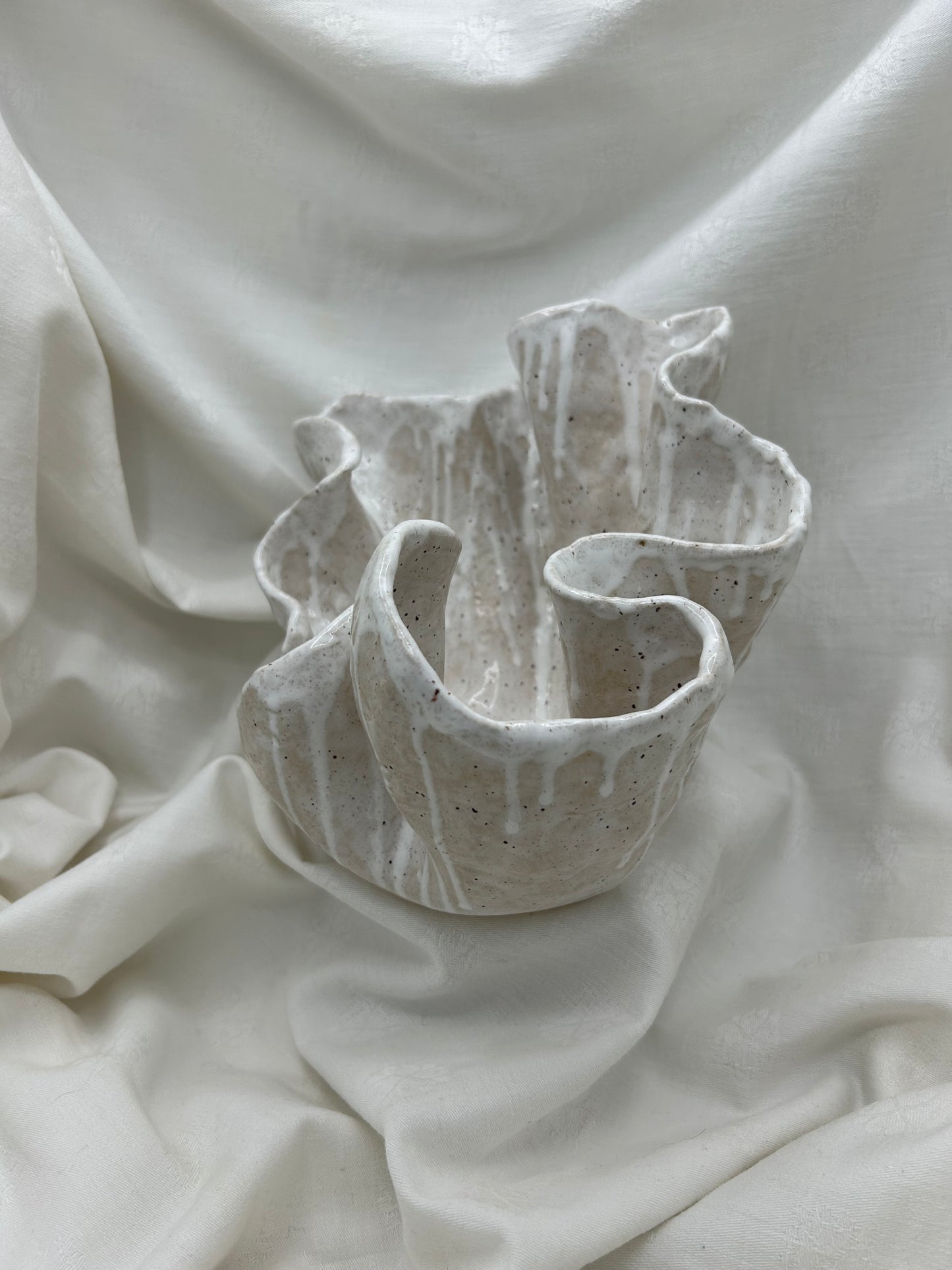 Shell Vessel