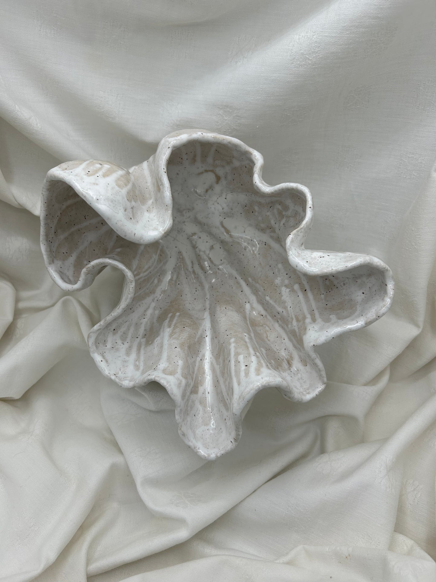 Shell Vessel